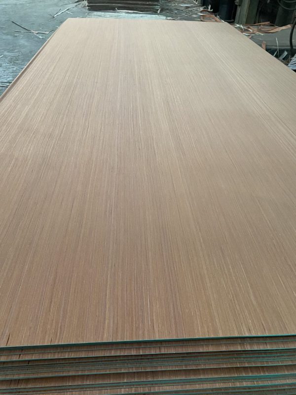 Red Poplar EV plywood