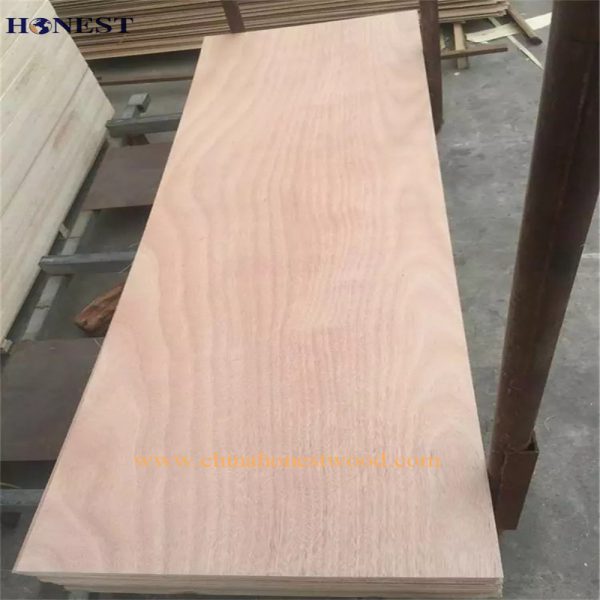Door Skin Plywood - Image 3